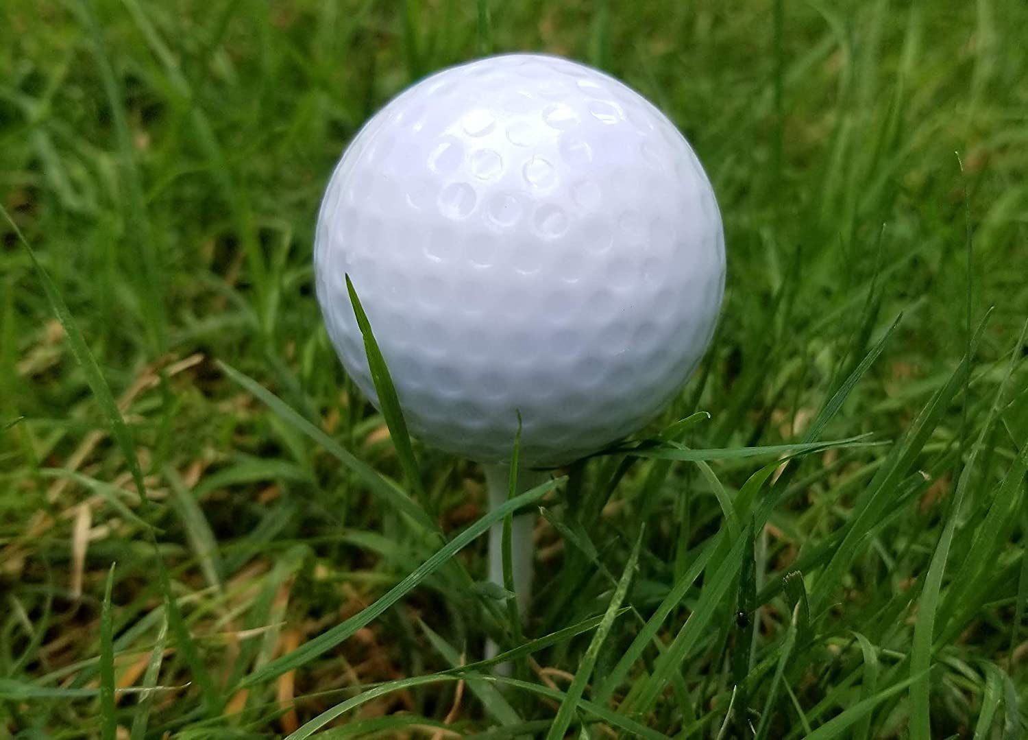 Gender Reveal Golf Ball for Baby Showers and Reveal Parties. All Natural Holi Powder. 2 Pack.