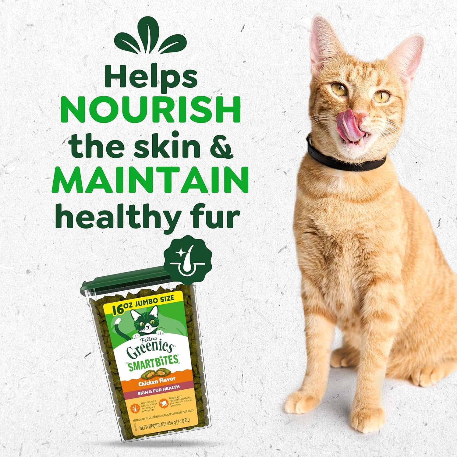 Cat Treats, Feline Smartbites, Skin & Fur Health, Crunchy and Soft Cat Treats, Chicken Flavor, 16 Oz. Tub